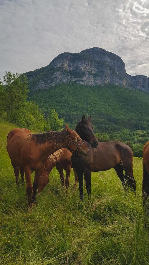 Studio Au Pied De La Montagne Et Vue Imprenable Saint-Alban  Kültér fotó
