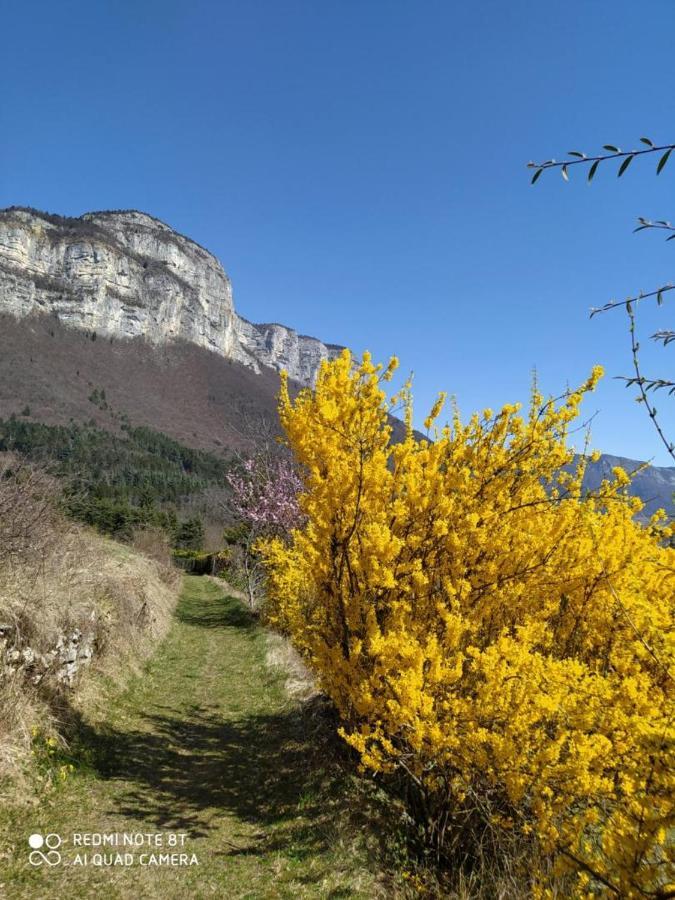 Studio Au Pied De La Montagne Et Vue Imprenable Saint-Alban  Kültér fotó
