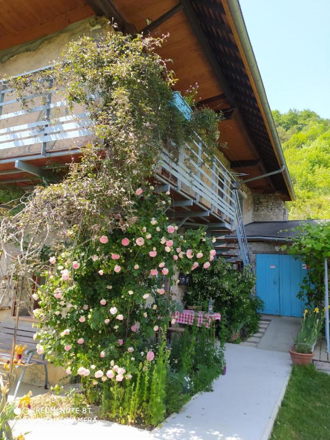Studio Au Pied De La Montagne Et Vue Imprenable Saint-Alban  Kültér fotó