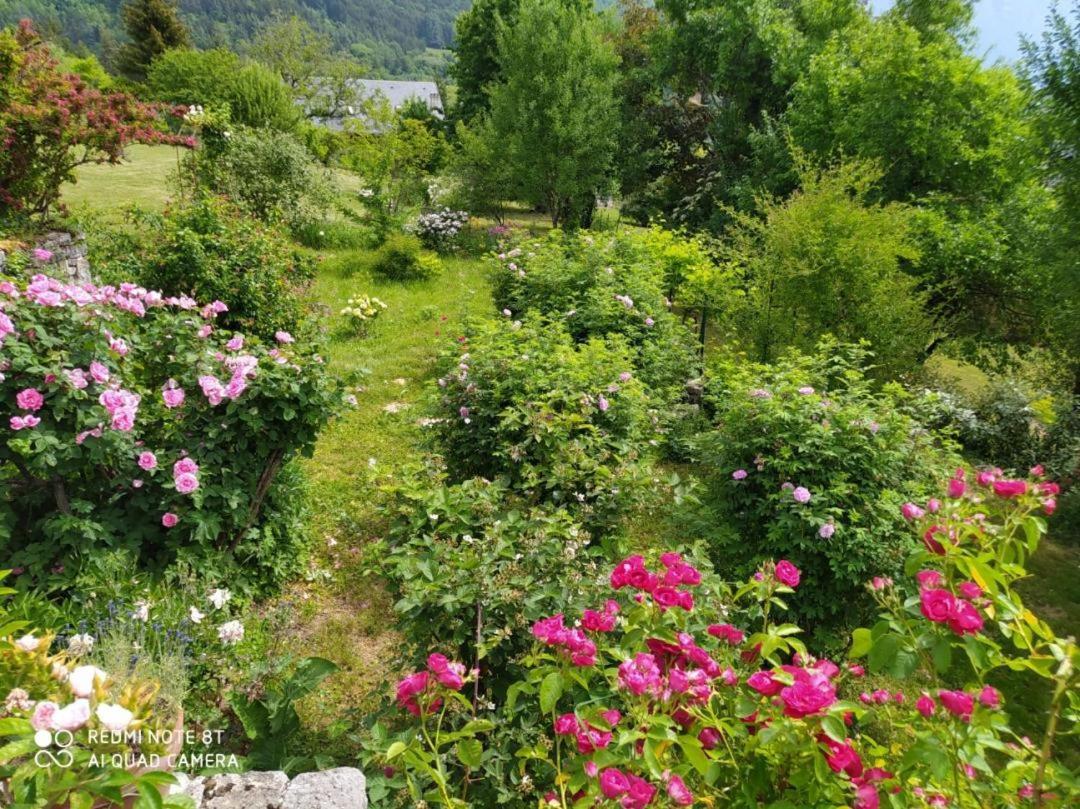 Studio Au Pied De La Montagne Et Vue Imprenable Saint-Alban  Kültér fotó