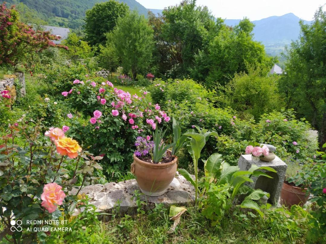 Studio Au Pied De La Montagne Et Vue Imprenable Saint-Alban  Kültér fotó