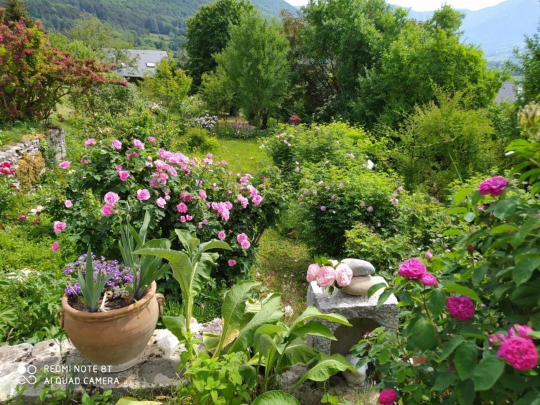 Studio Au Pied De La Montagne Et Vue Imprenable Saint-Alban  Kültér fotó